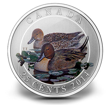 2014 25¢ Northern Pintail