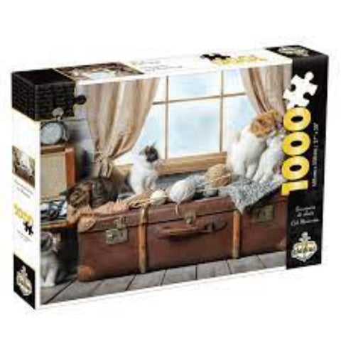 PZ1000 Souvenirs De Chats