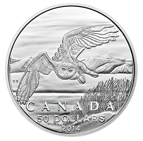 2014 $50 Snowy Owl