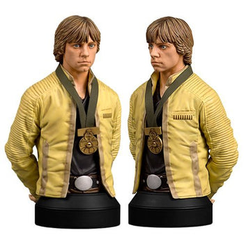 Luke Skywalker Hero Of Yavin