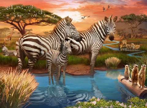 PZ500 Zebras At Waterhole