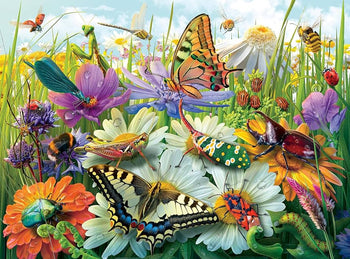 PZ100 The Wonderful World of Insects