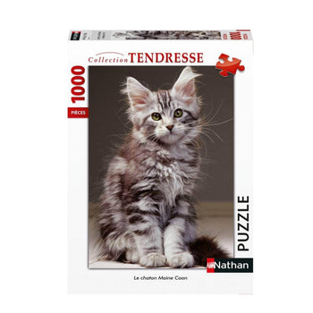PZ1000 Le Chaton Maine Coon