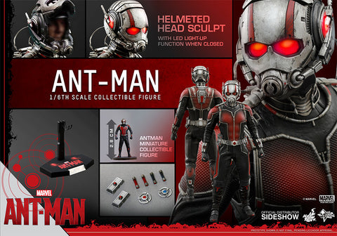 Hot Toys Ant-Man 1/6 Scale