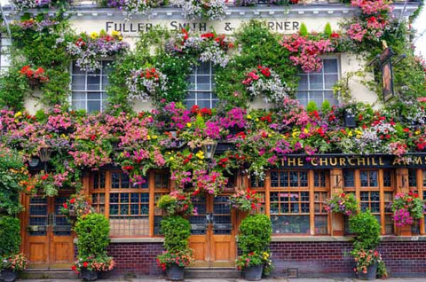 PZ1000 Pub In London