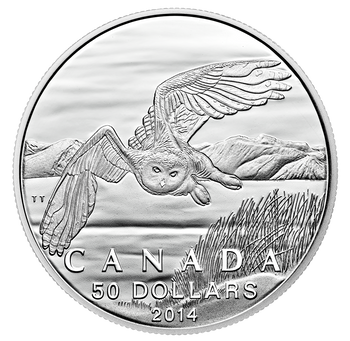 2014 50$ Harfang Des Neiges