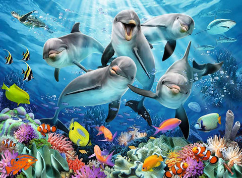 PZ500 Dauphins Sur Le Récif