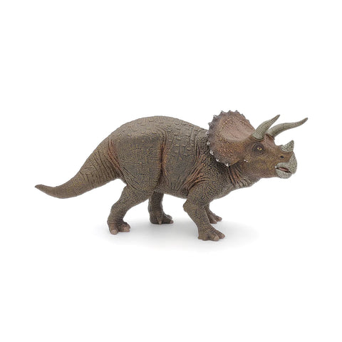Triceratops