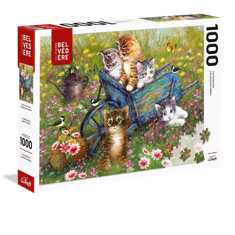 PZ1000 Chatons Dans Le Jardins