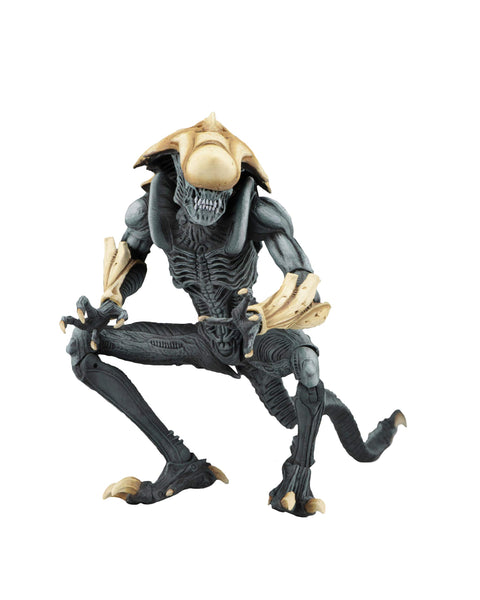 AVP - Chrysalis Alien