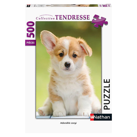 PZ500 Adorable Corgi