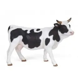 Black and White Cow