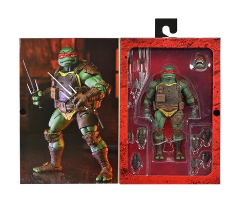 The Last Ronin Raphael