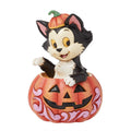 DSTRA Figaro in Jack-O-Lantern