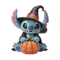 DSTRA Stitch as a Witch