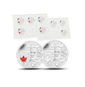 2013 Ens. 10x 25¢ Salaberry