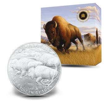 2013 100$ Le Bison