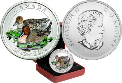 2014 25¢ The Pintail Duck
