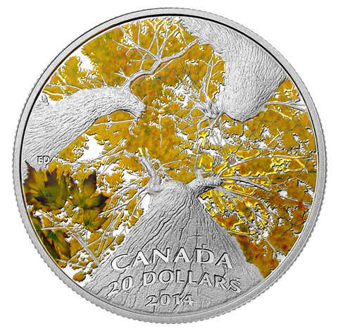 2014 20$ A L''Ombre D''Un Érabl