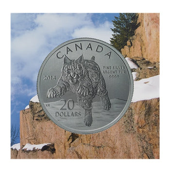 2014 20$ Le Lynx