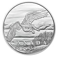 2014 $50 Snowy Owl
