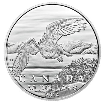 2014 50$ Harfang Des Neiges