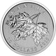 2015 $10 Maple Leaf