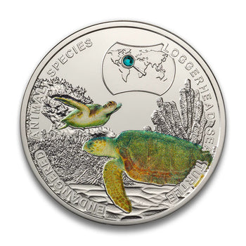 2014 1$ Tortue Caouanne
