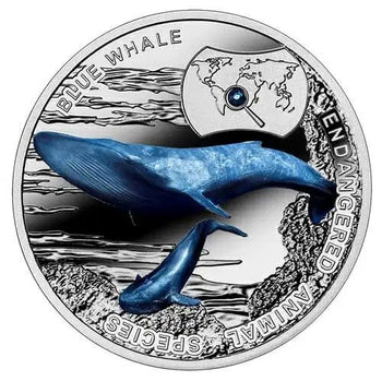 2014 1$ Rorqual Bleu