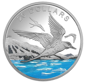 2017 20$ La Sterne Arctique