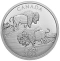 2022 $30 Proud Bisons