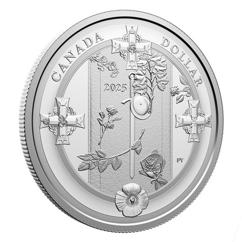 2025 $1 Soldier's Grave