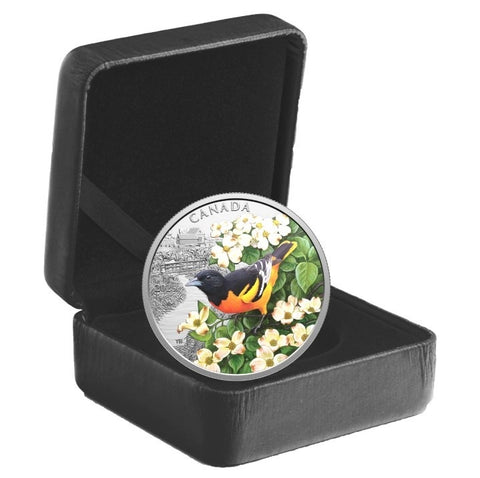 2025 20$ Oriole De Baltimor