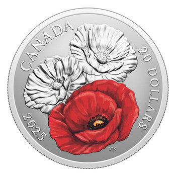 2025 20$ Jour Du Souvenir
