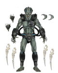 Predator Deluxe Stone Heart