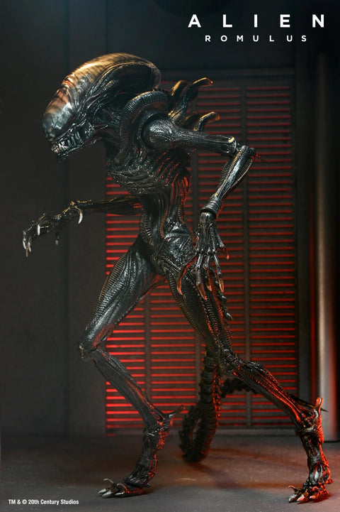 Alien Romulus Scorched Xenomorph