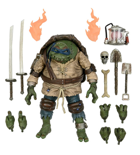 TMNT Leonardo As The Hunchback