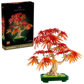 Le Bonsai D'Érable Rouge Japonais