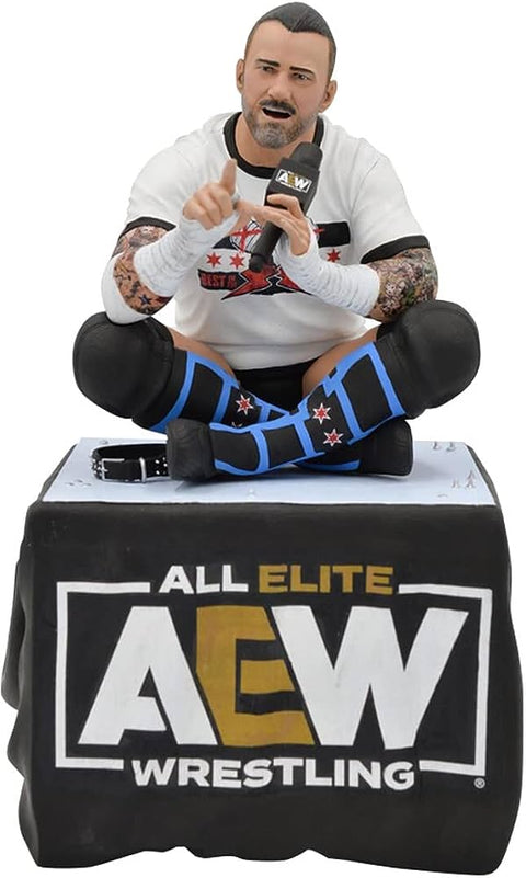 Gallery AEW - CM Punk