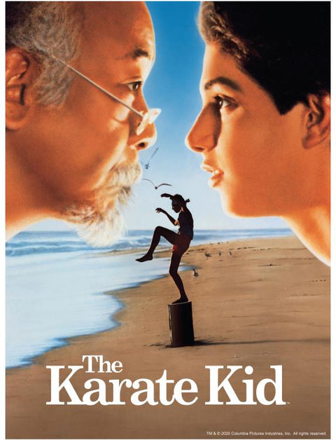 PZ1000 The Karate Kid