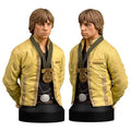 Luke Skywalker Hero Of Yavin