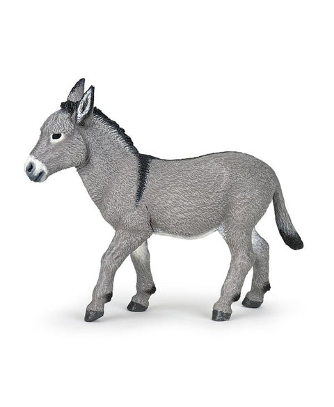 Donkey Of Provence
