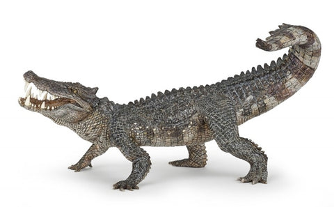 Kaprosuchus