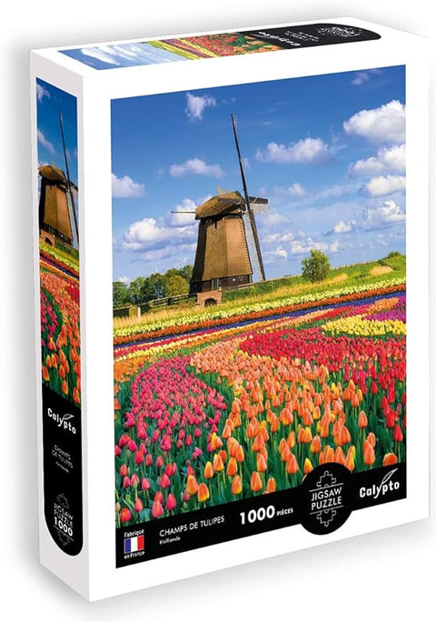 PZ1000 Champs De Tulipes