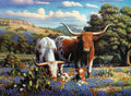 PZ500 Loving Longhorns