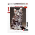 PZ1000 Le Chaton Maine Coon