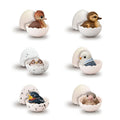 Tenori Baby Friends - Oiseaux