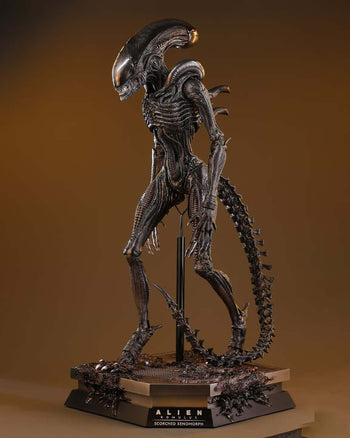 Alien Scorched Xenomorph 1:6 Scale