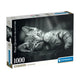 PZ1000 Chaton