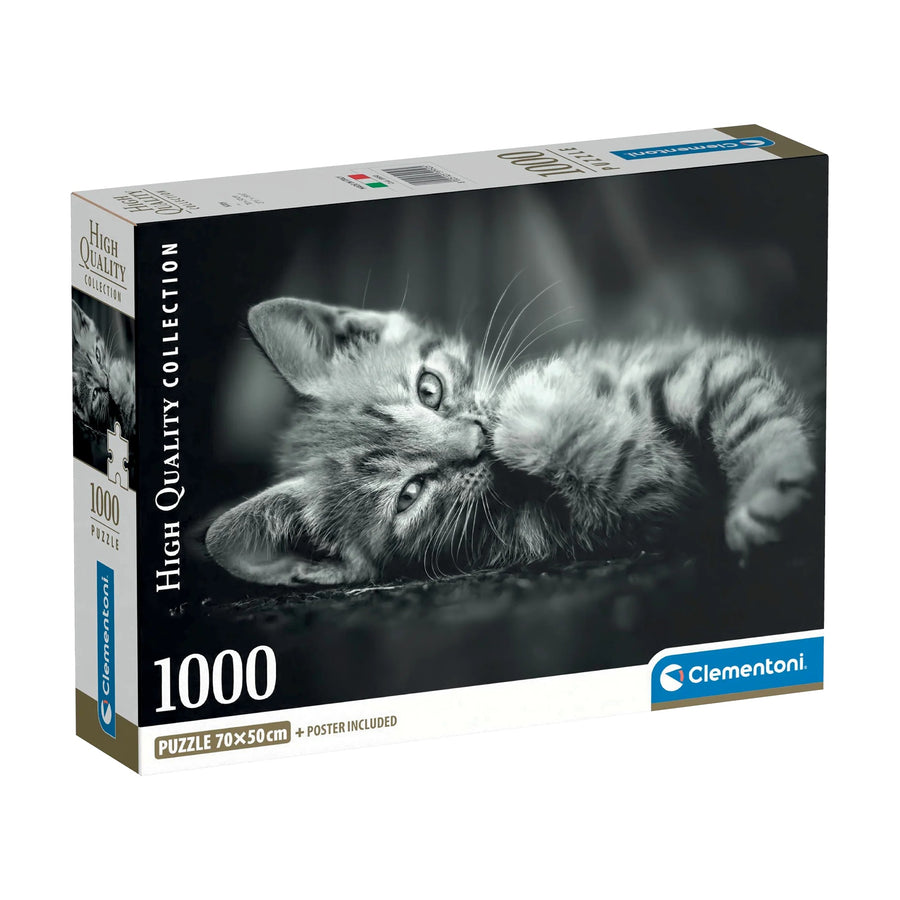 PZ1000 Chaton
